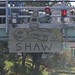 Juan Shaw Photo 2
