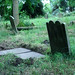 Ann Lunt Photo 3