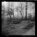 Don Wood Photo 9
