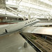 Daniel Lear Photo 10
