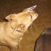 Erma Gray Photo 6