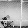 Stephen Cope Photo 31