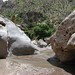 Carlos Benavides Photo 10
