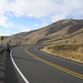 Dalton Crow Photo 5