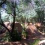 Chad Long Photo 23
