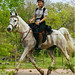 Tammy Powell Photo 8