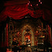 Robert Shields Photo 11
