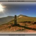 Tommy Storey Photo 2
