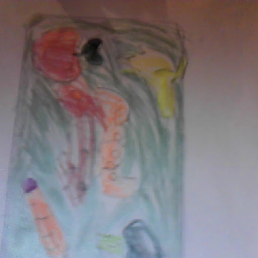Maryann Roe Photo 8
