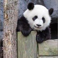 Mark Wu Photo 41