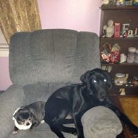 Marie Howell Photo 27