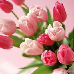 Hai Luu Photo 26