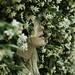 Jasmin Gil Photo 4
