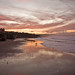 Terry Ward Photo 5