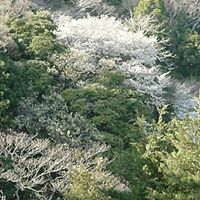 Ung Young Photo 2