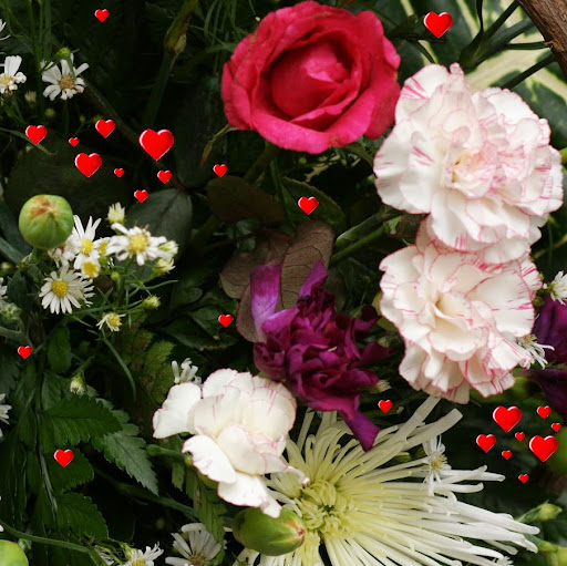 Hafsa Rehman Photo 18