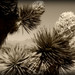 Clark Bloom Photo 7