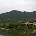 Bei Zhang Photo 12