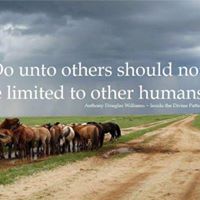 Ruth Jewell Photo 27