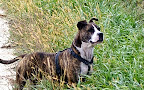 Lisa Wells Photo 37