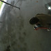 Jamie Palmer Photo 9