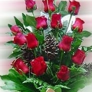 Sowmya Gowda Photo 22