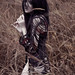 May Lin Photo 2