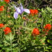 Douglas Wight Photo 10