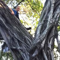 Michael Trew Photo 26