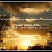 Don Tolle Photo 1