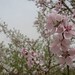 Ali Sadegh Photo 7