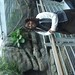 David Nah Photo 8