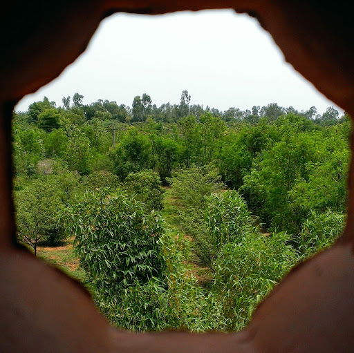 Anna Ninan Photo 4