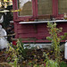 Linda Ward Photo 10