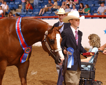 Sheri Berry Photo 16