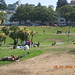 Dolores Brown Photo 7