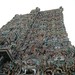 R Pandya Photo 2