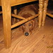 Joy Bailey Photo 11