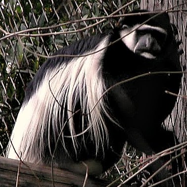 Dan Burris Photo 17