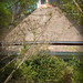 Edward Peters Photo 11