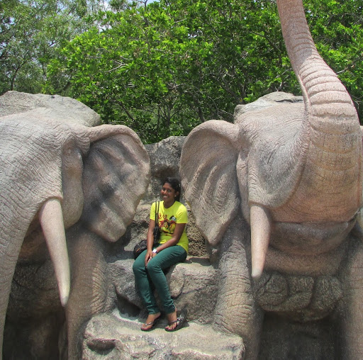 Srividya Iyer Photo 3