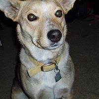Lana Killingsworth Photo 2