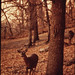 Gary Schell Photo 10