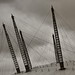 Richard Koop Photo 10