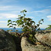 Mary Rock Photo 19