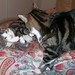 Larry Lester Photo 6