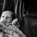 Nathaniel Noel Photo 8