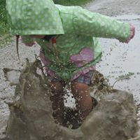 Paul Hardesty Photo 17