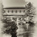 Tom Rockwell Photo 7
