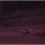 Steven Stover Photo 31